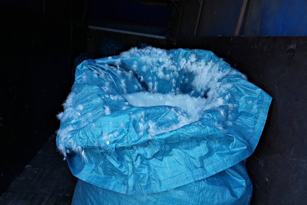 ポーランドの精製されたマザーグース羽毛ダウン