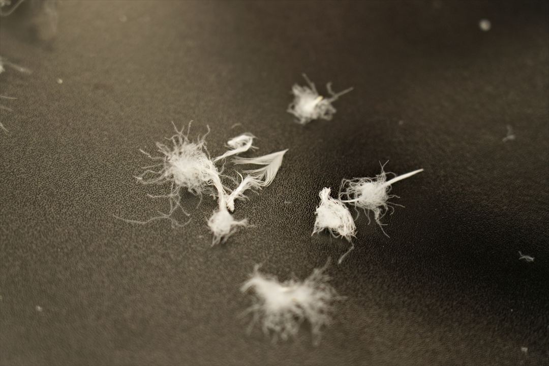 手選別加工作業②