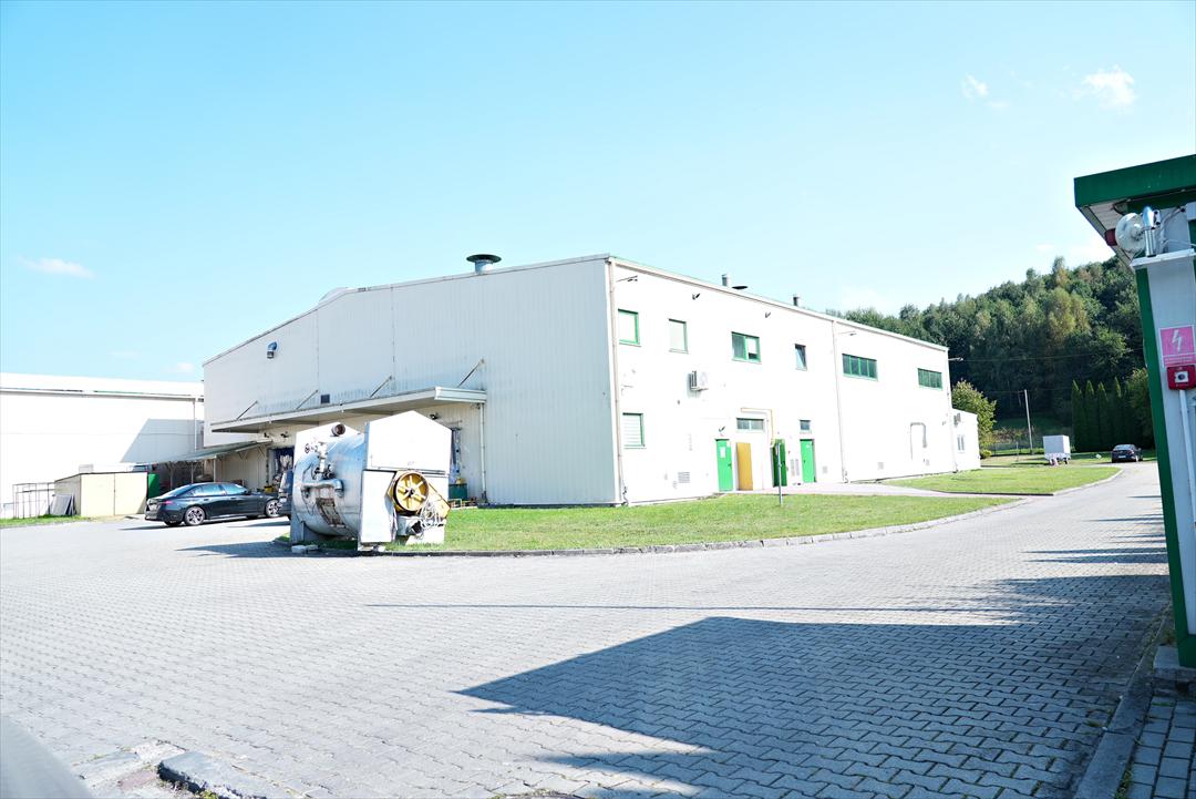 アニメックス社羽毛工場