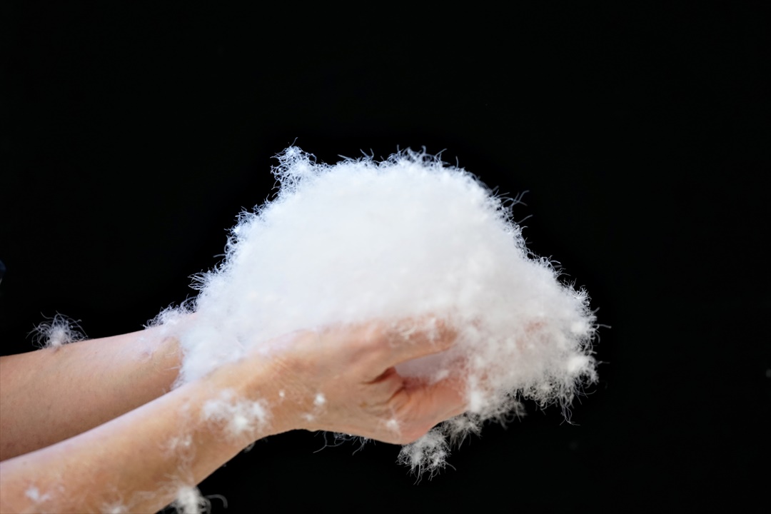 ポーランド産コウダ種ホワイトグース